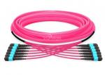 Buy cheap Mpo To Mpo Om3 Om4 72 Cores Mpo Mtp Patch Cord Aqua Or Purple Cable Corning Fiber from wholesalers