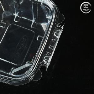 Buy cheap Eco Friendly 16 & 24 Oz Salad Containers with Attached Lids Disposable for Fresh Produce from wholesalers