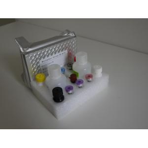 Buy cheap TB-IGRA Elisa Test Kit NMPA Mycobacterium Tuberculosis Test Kit from wholesalers