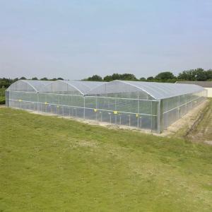 Commercial Multi Span Greenhouse with Tunnel Shading System Tomato Cooling