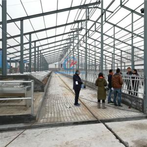 Buy cheap Light Steel Structure Cow Shed Prefabricated Steel Frame Farm Buildings from wholesalers