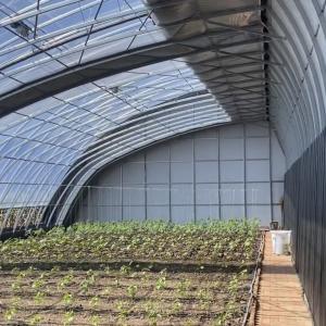Buy cheap Flower Planting Drip Irrigation System Sunlight Greenhouse with Customized Request from wholesalers
