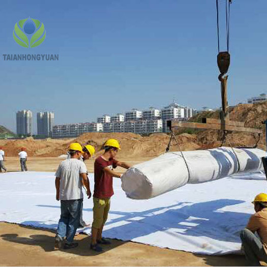 Long-Lasting Sodium Bentonite Geosynthetic Clay Liner for Construction
