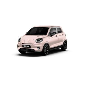 Leapmotor T03 MiNi EV Cars 2024 C11 Hybrid Car for Adults at Maximum Speed of