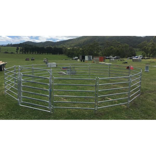 Quality Horse Round Yards 20 Meter,Australia Style Corral,Cattle Yards for sale