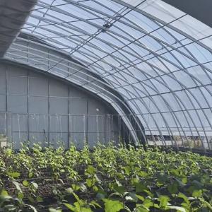 Buy cheap Customizable Vegetable Film Hydroponics Greenhouse System for Multi-Span Efficiency from wholesalers