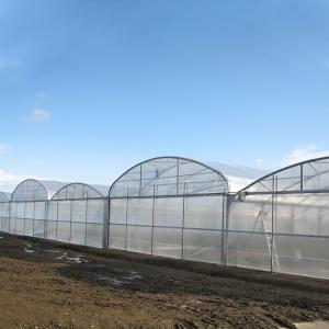 Buy cheap Multi Span Vegetable Animal Flower Growing Agriculture Polycarbonate Sheet Greenhouse from wholesalers
