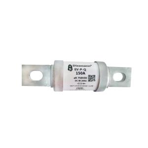 750VDC Electric Vehicle Fuses Low Current 150A ROHs Standard