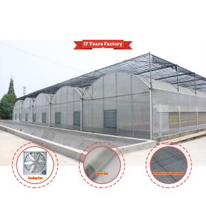 Economical Custom Design Automatic Shading System Multi-span Strawberry