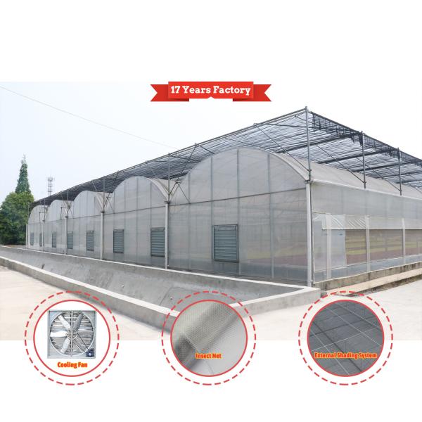 Economical Custom Design Automatic Shading System Multi-span Strawberry