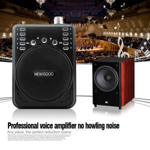 Buy cheap Teachers Coaches Tour Guides Voice Booster Portable Voice Amplifier Loudspeaker U DISK ABS Black NEWGOOD manufacturer from wholesalers