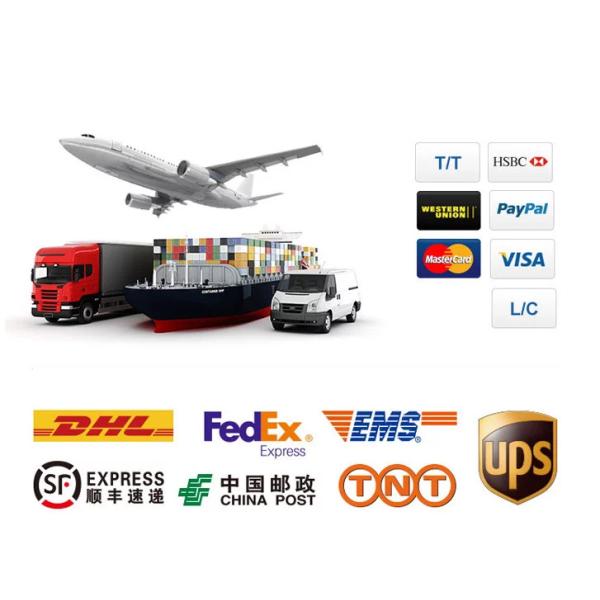 High Temperature Resistant Diesel Engine Piston D2366 D2366T Piston Kit Sets For Daewoo