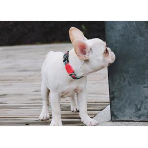 Buy cheap Watermelon Dog Collar And Leash Harness Reflective Dog Accessories from wholesalers