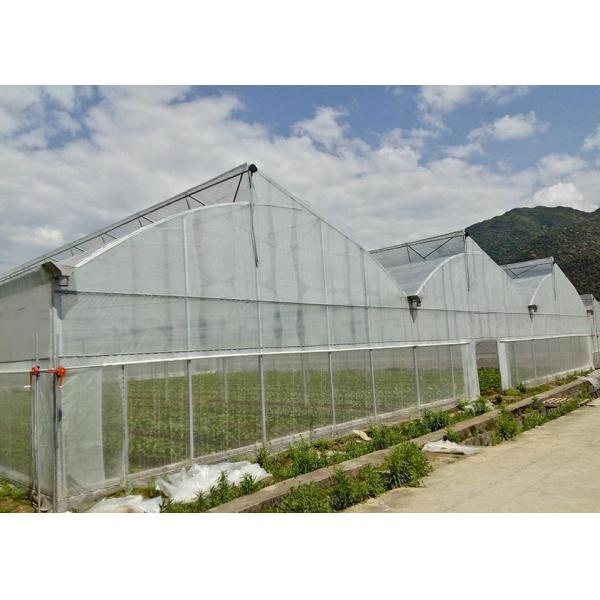 Greenhouse With Manual Or Motor Roll Up Vent System For Natrual Ventilation