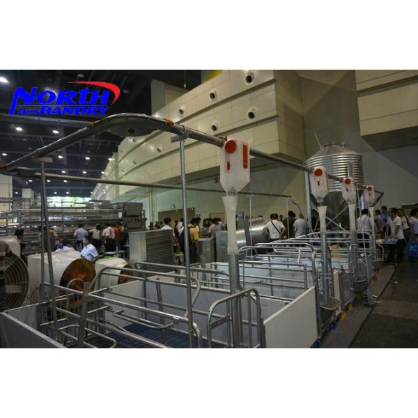 Buy cheap Piggery automatic drinking system automatic pig feeding system from wholesalers