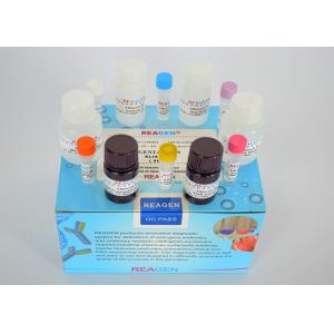 Buy cheap Accurate Veterinary Residue Test Kit Lincomycin ELISA Test Kit Certificate product