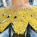 Grain Linear Weigher Oat Weighing And Packing Machine 240g 500g Peanuts Canning