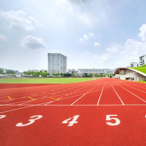 Buy cheap Stadium Sandwich System Running Track EPDM Rubber Flooring Surface from wholesalers