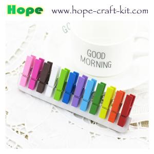 Buy cheap Various Size Mixed Colors Asslorted Colors Solid Wood Clothpins Clips Pegs with Animal Fruit Christmas 72 X 14mm from wholesalers
