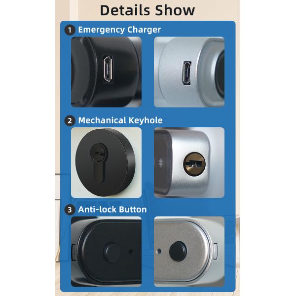 TUYA Bluetooth Smart Handle Door Lock Anti Corrosion Fingerprint Handle Lock