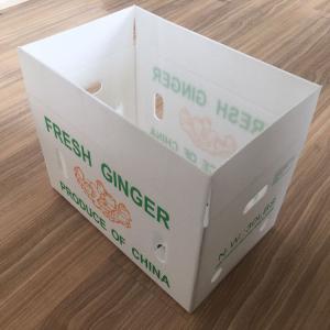 Buy cheap Fruit Vegetable Packing PP Cartonplast Grapes Packing Boxes Plastic Broccoli Boxes Corrugated Ginger Sheet from wholesalers