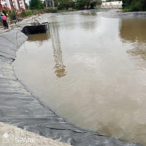Buy cheap Smooth Surface 0.75mm HDPE Geomembrane for Fish and Shrimp Pond Liner Farming Lobster from wholesalers