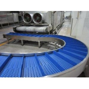 Customized Stainless Curved Conveyor