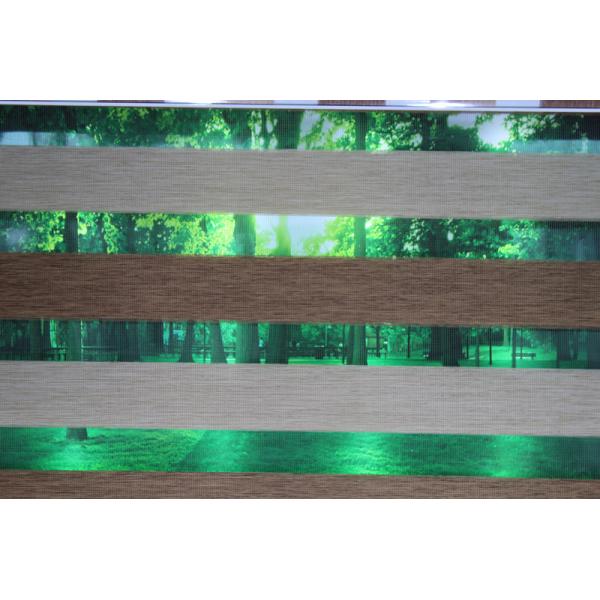 Zebra blinds fabric/Motorised zebra roller /new design zebra blinds fabric,white