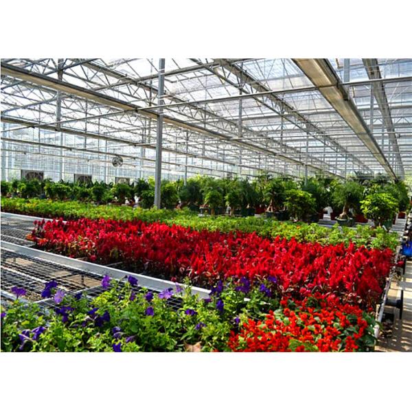 Quality Silver Color Garden Glass Greenhouse With Enhanced Insulation Performance for sale
