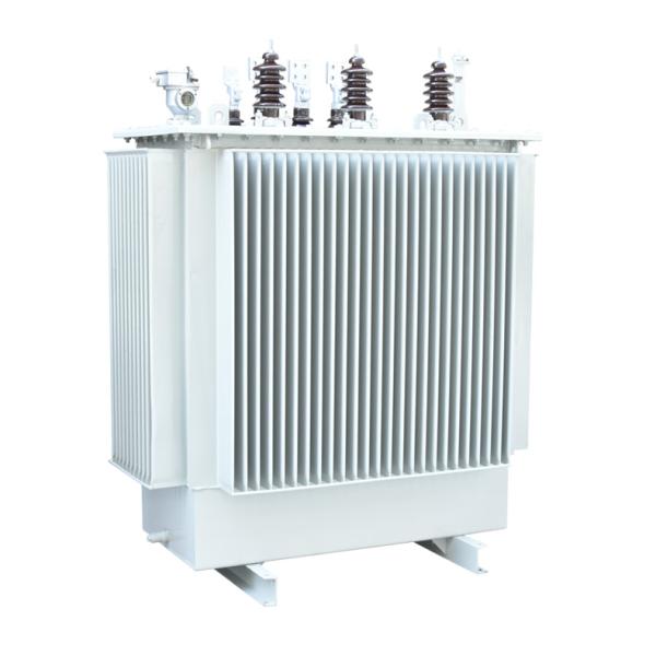 S11 Three Phase Oil Immersed Oil-Immersed Type Transformer Oil-Filled Electric Transformer