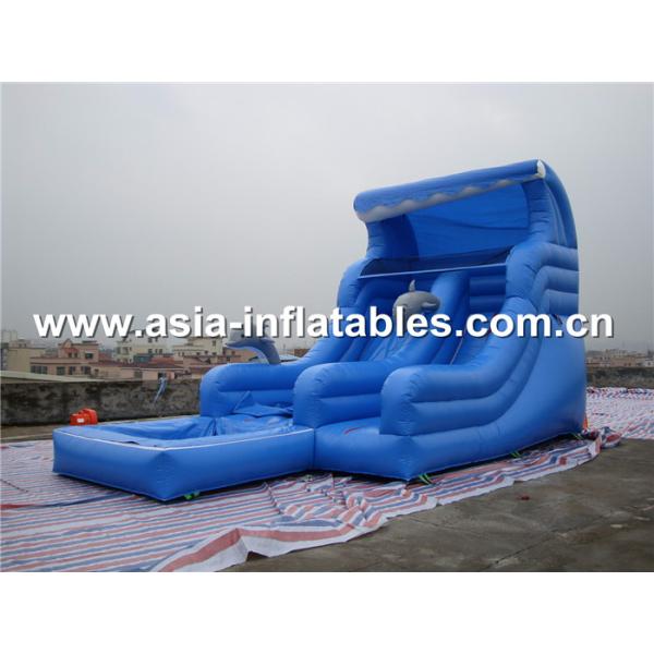 Customized inflatable water slide,inflatable slide,giant inflatable slidefor