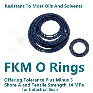 China Resistant To Most Oils And Solvents FKM O Rings Offering Tolerance Plus Minus 5 Shore A and Tensile Strength 14 MPa for Industrial Seals on sale