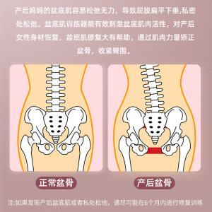 New Pelvic Floor Muscle Trainer and Inner Thigh Exerciser Pilates Accessories