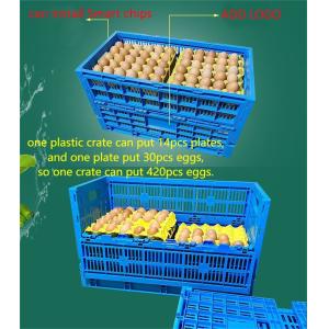 Buy cheap Foldable Green Plastic PP Stackable Beer Wine Milk Crate with Storange Capability from wholesalers