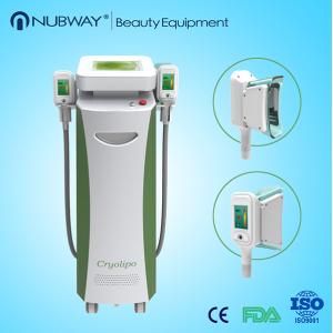 China New arrival cryo / cryolipolysis slim machine cryolipolysis for salon use on sale