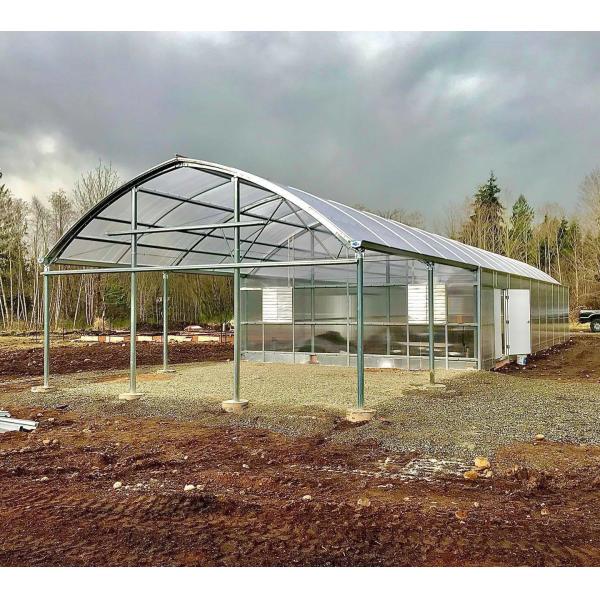 Multi-Span Venlo Glass Greenhouse with Cocopeat Hydroponics System and