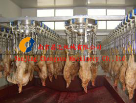 Customized Capacity Chicken Bleeding Line With Stainless Steel Slaughter Machine