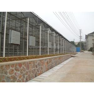 Buy cheap Customizable Multi Span Greenhouse With Side Vent And Roof Height 3.73M from wholesalers