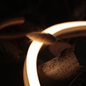 Buy cheap Horizontal Bending 3000K Flexible Neon Strip Lumileds 2 Step MacAdam LED CRI90 from wholesalers