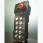 Overhead Crane Push Button Remote Control , CE 10 Channel Remote Control