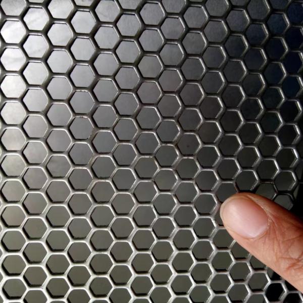 Custom Stainless Steel Perforated Sheet for Speaker Boxes