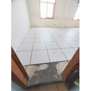 Customized Raised Access Date Centre Floor Monitor Room