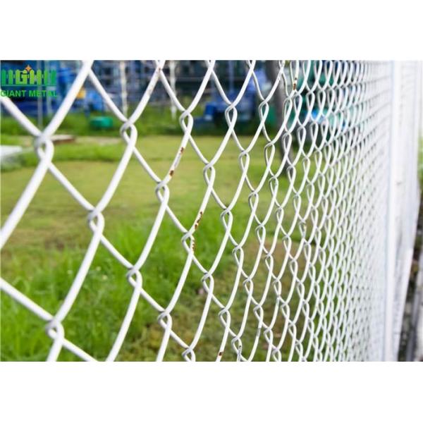 Quality HGMT 6 Foot 60*60mm Diamond Chain Link Fence for sale