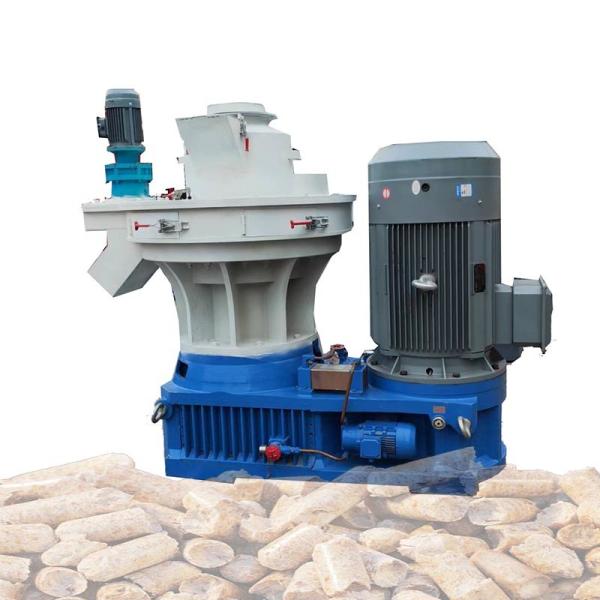 Quality Wood Pellets 15KG Bags Vertical Ring Die Wood Pellet Mill With 1-5 T/H Capacity for sale