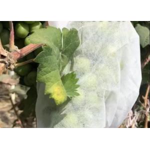 Buy cheap Thermal Insulation And Translucent Garden Cold-Proof Composite Nonwoven Fabrics from wholesalers