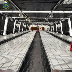 Buy cheap CE 30m Hydroponic Blackout Light Deprivation Greenhouse from wholesalers