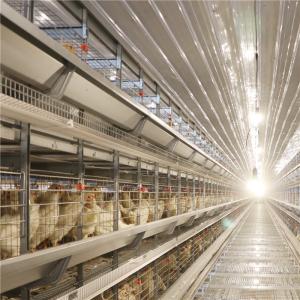Buy cheap Antirust Egg Layer Chicken Cage with Feeding system drinking system from wholesalers