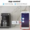 Buy cheap Smart Power Home Tuya 13A Outlet Wifi Universal Wall Plug With USB Grass Panel from wholesalers
