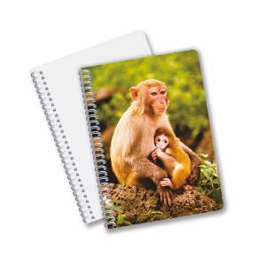 Buy cheap Wholesale customized hot sale size A6 A5 A4 PET spiral 3D lenticular CMYK printing notebooks for office work from wholesalers