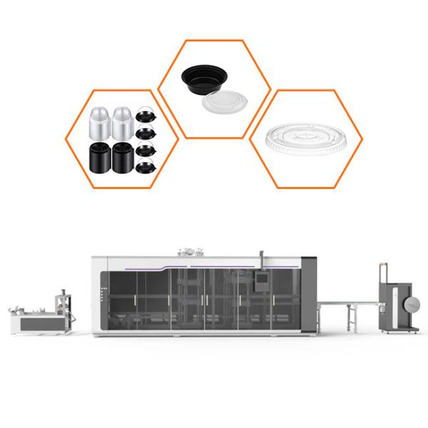 Stable Operation Disposable Thermoforming Machine Plastic Cup Thermoforming